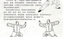 初学太极拳入门基本功视频教程